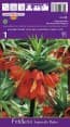 Фритилария Impеrialis Rubra