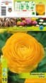 Ранункулус Yellow