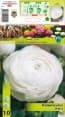 Ранункулус White