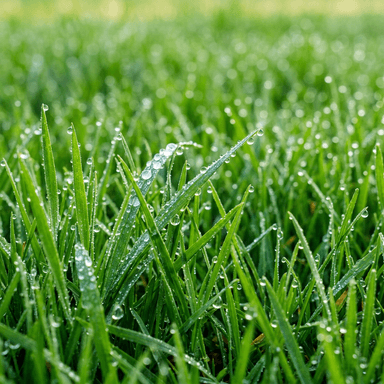 Тревни смески