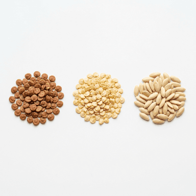 Зеленчукови семена