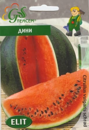 Дини Шугарбейби