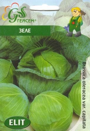 Зеле Дитмарско