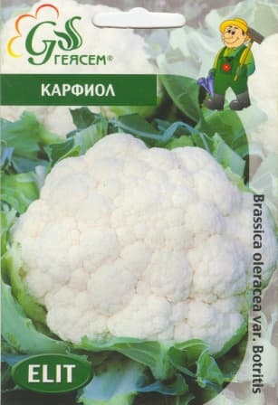 Карфиол Гигант от Наполи