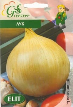 Лук Испанска каба