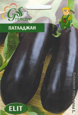 Патладжан Лонг Пърпъл