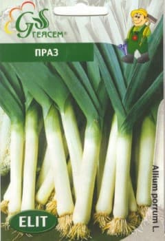 Праз Български гигант