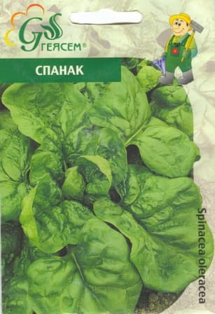 Спанак Матадор