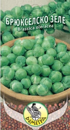 Брюкселско зеле Грьонингер