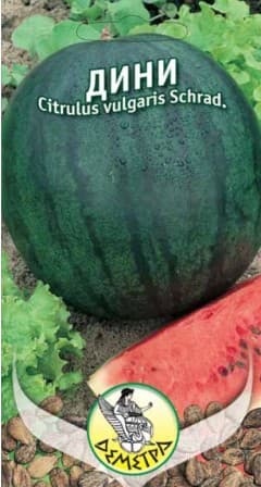 Дини Шугарбейби