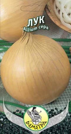 Лук Испанска каба