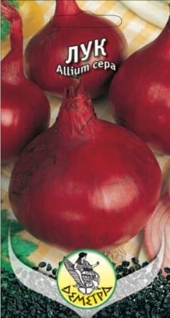 Лук Асеновградска каба