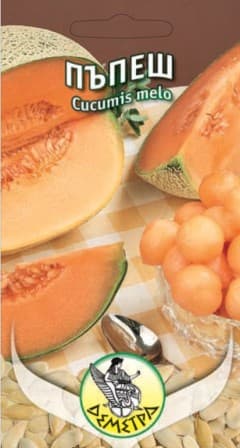 Пъпеш Медна роса