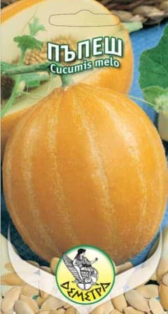 Пъпеш Видински коравци