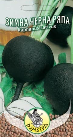 Ряпа Зимна черна