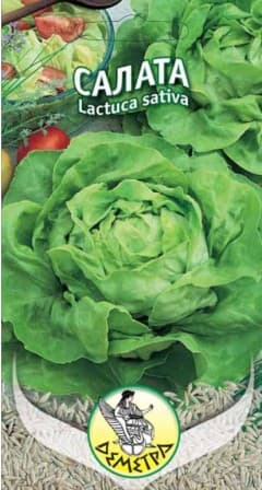 Салата Зимна маслена глава