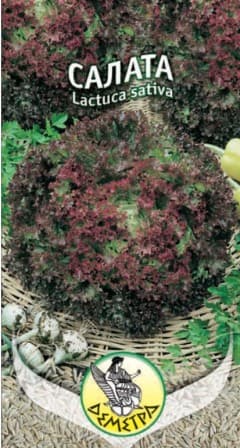 Салата Лоло Росо