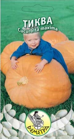 Тиква Максима