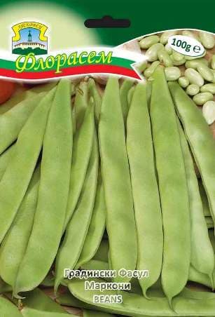 Фасул Маркони