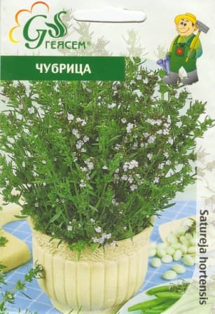 Чубрица Местна