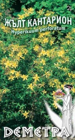  Жълт кантарион