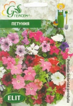  Петуния