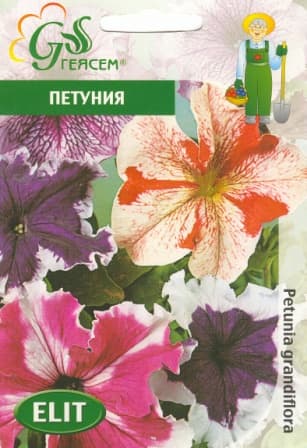  Петуния