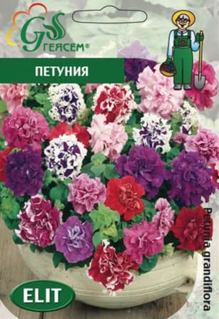  Петуния