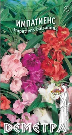  Импатиенс