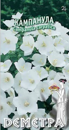 Кампанула Кампанула