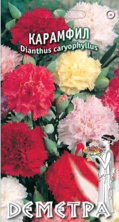 Карамфил Карамфил Шабо