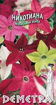  Никотиана