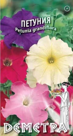  Петуния
