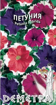  Петуния