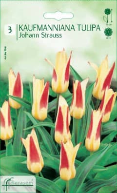 Лале Johan Strauss