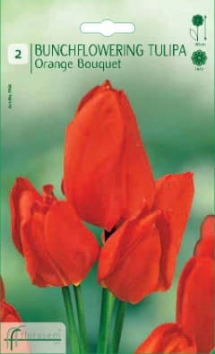 Лале Orange Bouquet