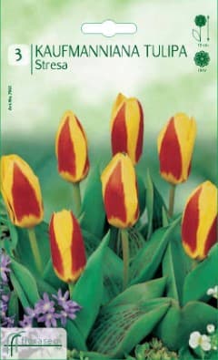 Лале Happy Family