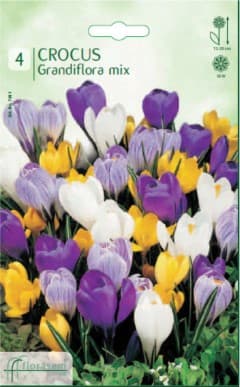 Минзухар Grandiflora Mix