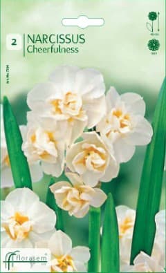 Нарцис Cheerfulness