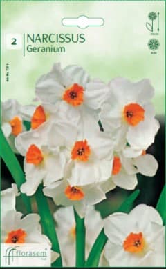 Нарцис Geranium