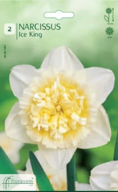 Нарцис Ice King