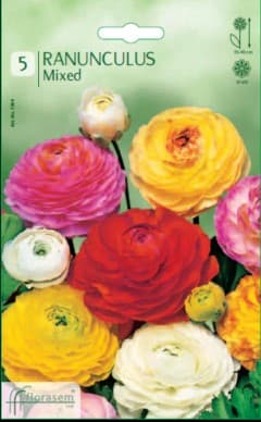 Ранункулус Mixed