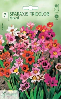 Спараксис Mixed