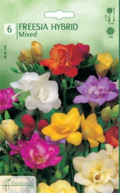 Фрезия Mixed
