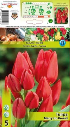 Лале Merry Go Round