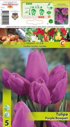 Лале Purple Bouquet