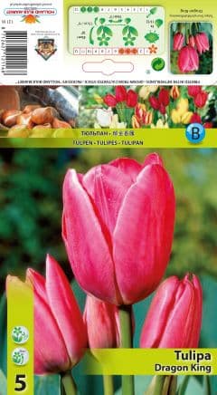 Лале Dragon King