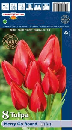 Лале Merry Go Round