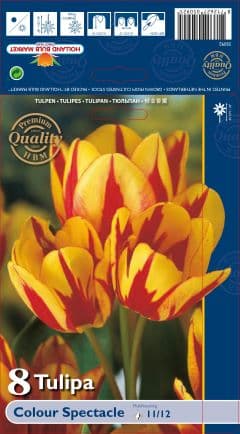 Лале Colour Spectacle