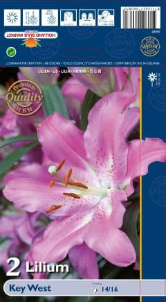 Лилиум Key West